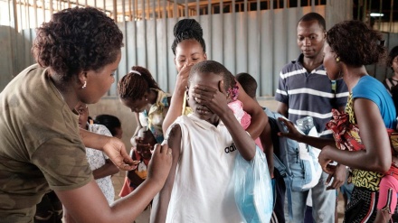 Epidemia de febre-amarela em Angola eleva total de mortos para 230