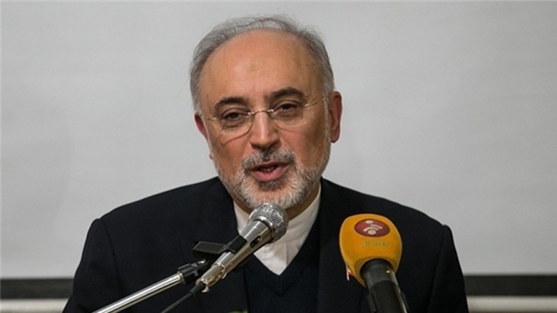 Ketua AEOI Ali Akbar Salehi