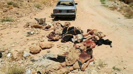 Ostlibanon völlig von IS-Terroristen befreit