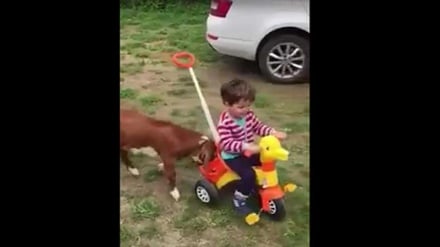 Urafiki hauhusu binadamu kwa binadamu tu