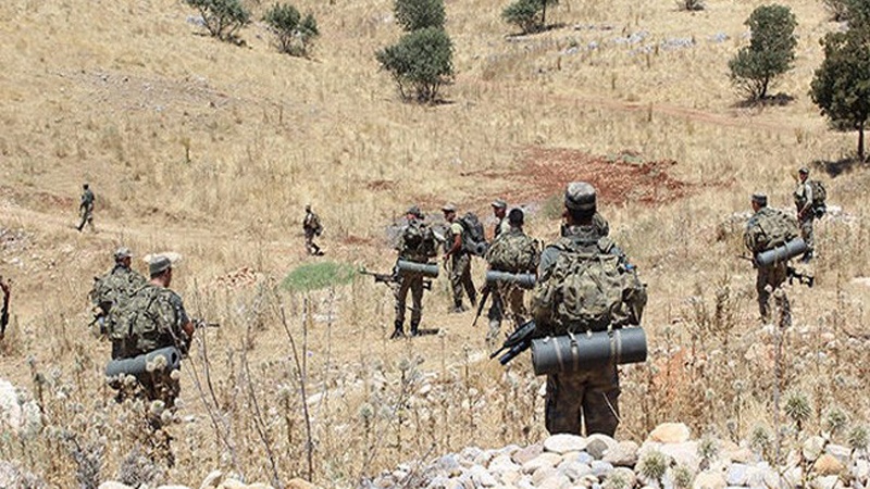 Türkiye'nin güneydoğusunda 12 PKK'lı öldürüldü  