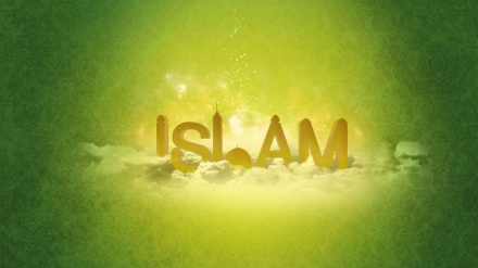 认识伊斯兰教（123）
