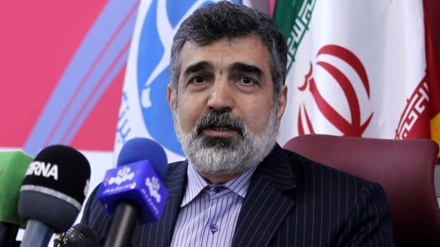 Kamalvandi: Permintaan IAEA terhadap Iran Keterlaluan
