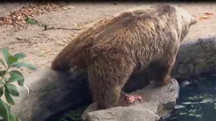 Baadhi ya wakati wanyama wanawazidi binadamu kwa wema na ihsani