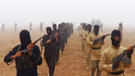 Aleppo, trovati documenti di richiamo alle armi dell’Isis