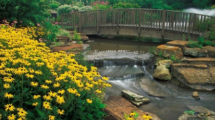 ইরানে পালিত হল প্রকৃতি দিবস