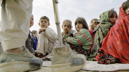 Беш аз як миллион кӯдак дар Афғонистон ба норасоии ғизоӣ мувоҷеҳанд  