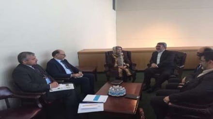 İran ile Afganistan, alternatif geçinim planı üzerinde anlaştı