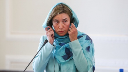 Moghrini: terreno preparado entre Irã e UE para uma cooperação estruturada