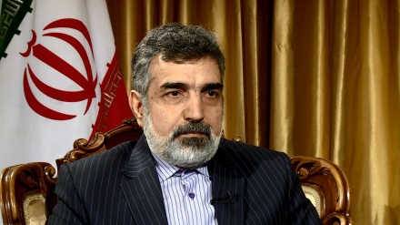 イラン原子力庁報道官、「制限はイランの核の発展を妨げない」