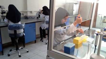 イランの学術的地位が大幅に上昇