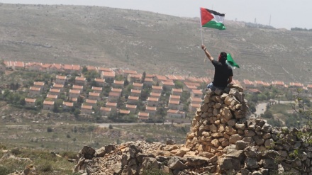 Jurnalis Zionis: Generasi Baru Palestina Tak Kenal Takut !