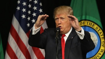 Trump e le tasse: così ha risparmiato milioni di dollari
