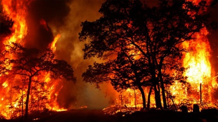 Wildfires threaten North American water supplies