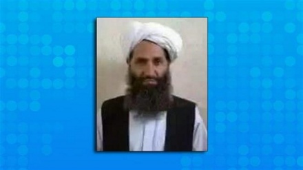 An Kira yi Taliban Ta Afghanistan Da Ta Rungumi Zaman Lafiya