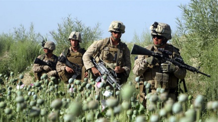 Senjata Pemusnah Massal Itu 