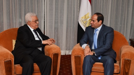 埃及支持建立以古都斯为首都的独立的巴勒斯坦国