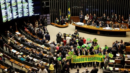 巴西新政府致力于获得人民的信任