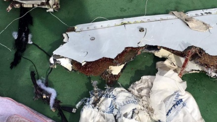 埃航失事客机主体残骸已被定位