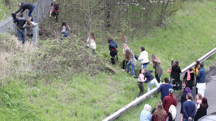 Condutores abandonam carros na estrada para não perderem voos