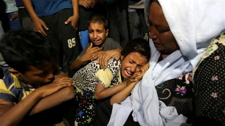 Territori Occupati: da ottobre 2015 oltre 247 Palestinesi uccisi da regime sionista