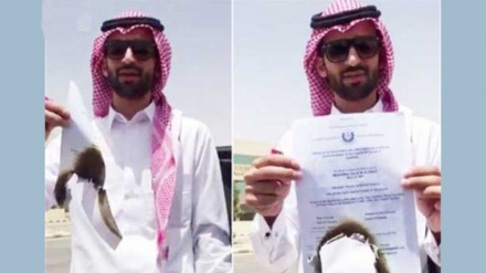 Arabistan'da işsizlik protesto edildi