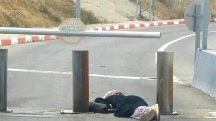 Palestina Occupata: a Gerusalemme ragazza palestinese uccisa da guardie israeliane