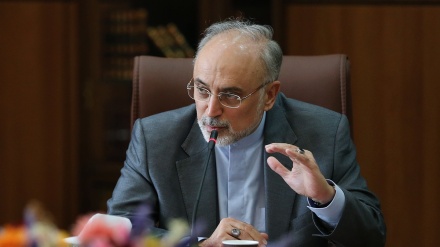 イラン原子力庁長官、「ヨーロッパ諸国はイラン産重水の購入を希望」