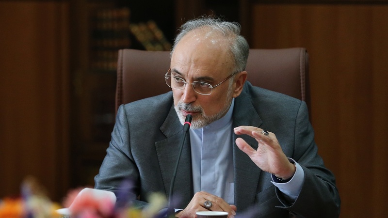 イラン原子力庁長官、「ヨーロッパ諸国はイラン産重水の購入を希望」