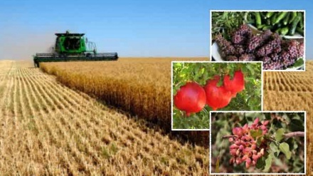 İran tarım ürünleri Rusya ihraç ediliyor