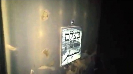 Israel: Die Menschenrechtsorganisation 