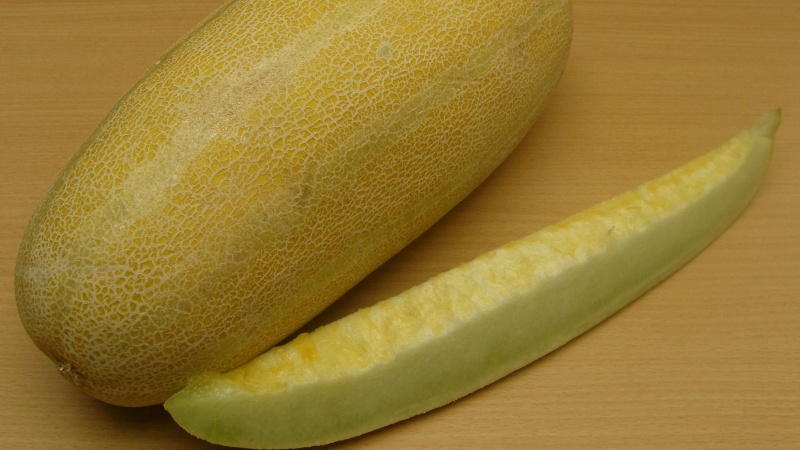 フェキレ　ヌーンバシ、ハルボゼ　アーベ！