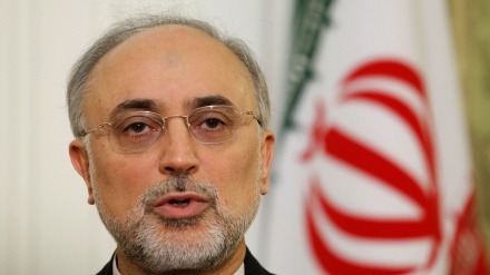 Washington will have to pay dearly if it breaches JCPOA: Salehi