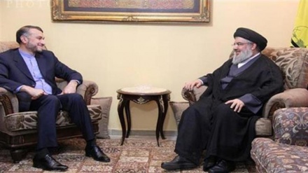 Nasrallah: Tutte le opzioni sono pronte sul tavolo 