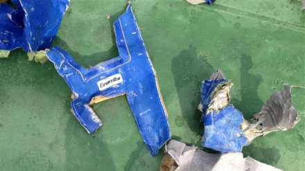 Mısır düşen uçakla ilgili iddiaları reddetti 