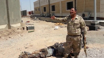 2500 IS-Terroristen in Falludscha getötet