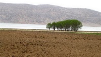 Заповедник Аржан и Паришан