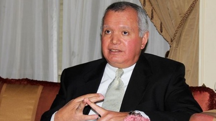 Mısır Parlamentosu Dış İlişkiler Komisyon Başkanından Türkiye'ye eleştiri