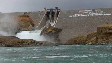 بند سلما برای یک ماه به روی مزارع هرات باز شد