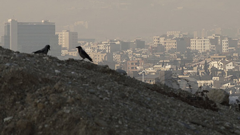 緊急大気汚染速報