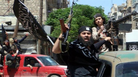 Americans are on our side: Nusra commander