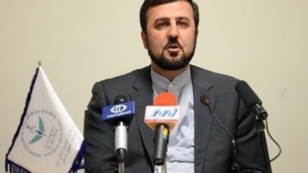 Iran Tuntut Pembunuh Bijan Ghaisar Diadili