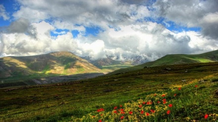 Aquí es Irán (19)