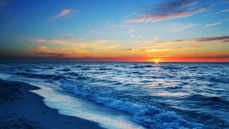 海　　