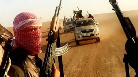 Falloujah: Daech se rétrécit