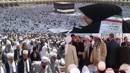 विश्व साम्राज्यवाद के इशारे पर सऊदी अरब ने हज जैसे पवित्र कार्यक्रम को क्षति पहुंचाई: वरिष्ठ सुन्नी धर्मगुरू