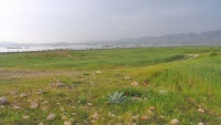 Заповедник Аржан и Паришан