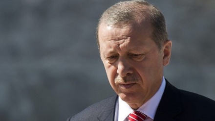 Erdogan apiga magoti na kumuomba radhi Putin