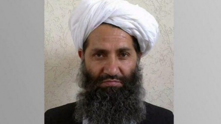 پیام رهبر طالبان به مقامات و نیروهای این گروه در خصوص خودداری از قوم گرایی و زبان گرایی