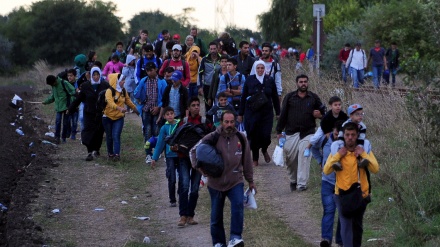 Migranti, soffocati in camion 19 etiopi   